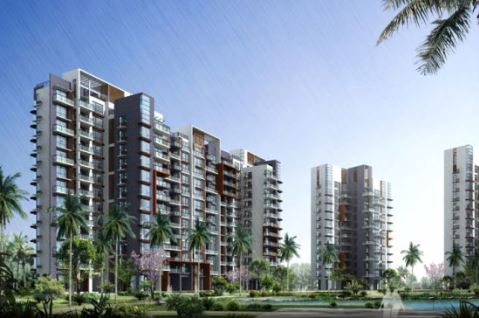 ?？凇ぬ旌?guó)際44棟別墅室外魚(yú)池水處理工程